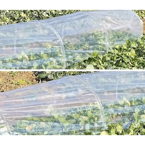 Garden greenhouse - Gardlov tunnel 25382