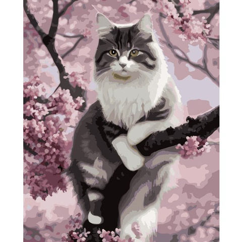 Painting by numbers 40x50cm- Maaleo cat 22783