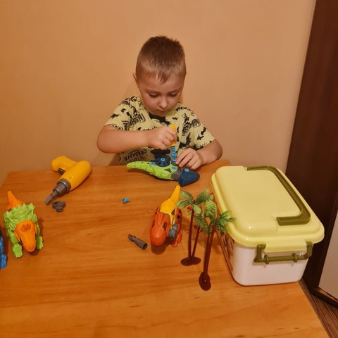 Construction set - dinosaurs 24723