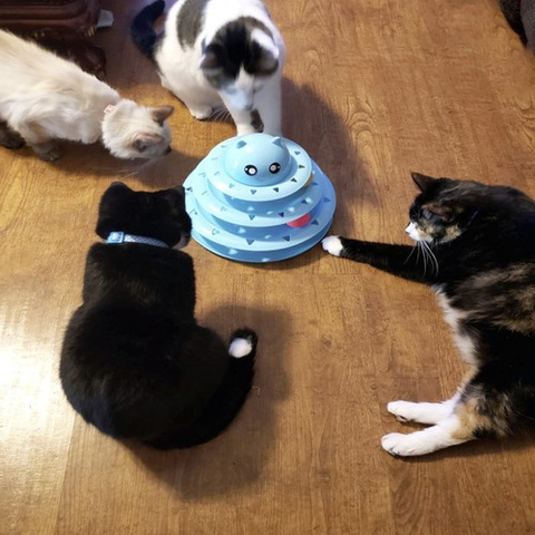 Katzenspielzeug - Turm mit Bällen Purlov 21837