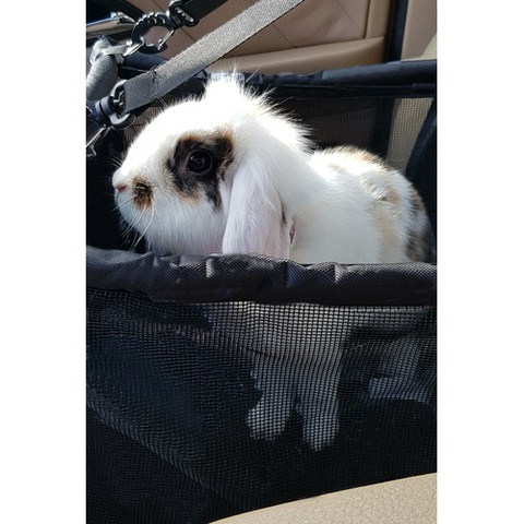 Dog Carrier for Seat Purlov 20973