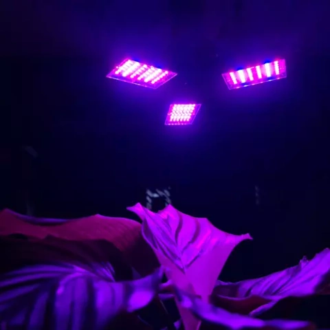 108 LED Plant Growth Lamp Gardlov 20440