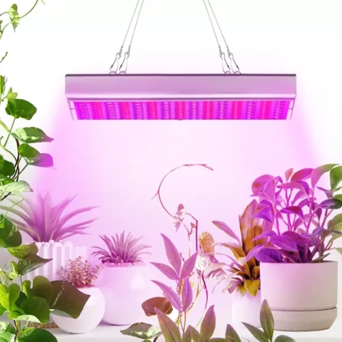 Lampe/panneau 225 LED pour la culture de plantes. 23525