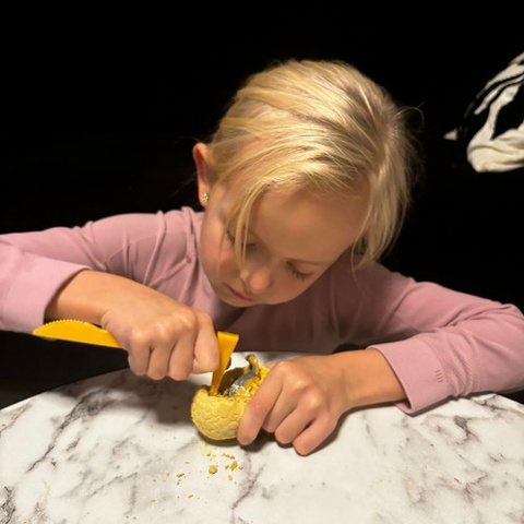 Dinosaurier-Mine – Kruzzel Excavations 24982