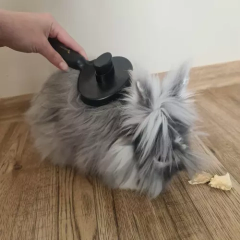 Self-cleaning fur brush