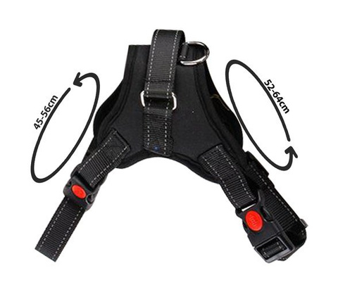 Pressure-free harness for dogs M