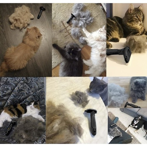 Purlov 24261 Tierhaarbürste