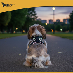 Harnais sans pression pour animaux M Purlov 26870