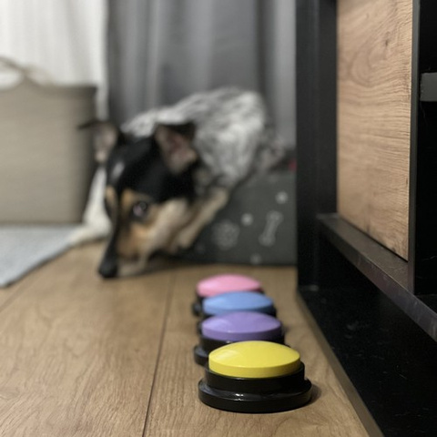 Purlov 24615 Tiergeräuschknöpfe