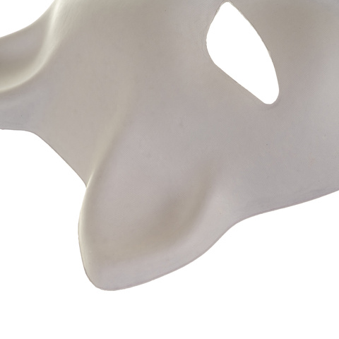 Masque de chat DIY 10 pièces Ruhhy 26000