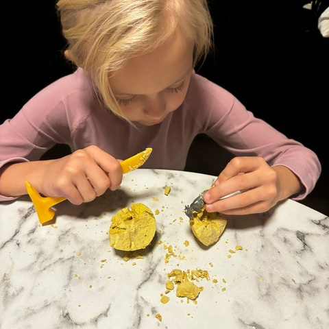 Dinosaur Mine - Kruzzel Excavations 24982