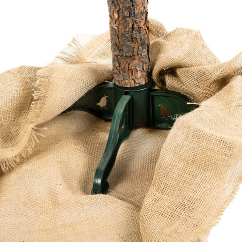 Christmas tree on a trunk - diamond pine 180cm