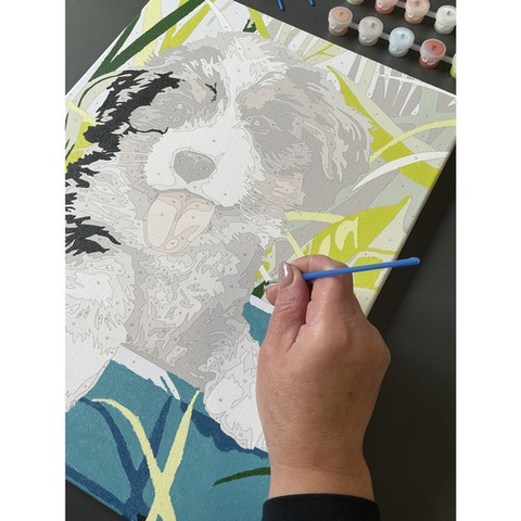 Malen nach Zahlen 40x30cm - Maaleo Hund 22780