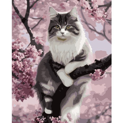 Painting by numbers 40x50cm- Maaleo cat 22783