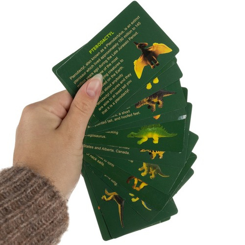 Dinosaur Egg - Excavation Site 24981