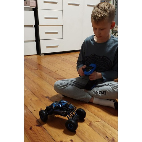 Remote controlled off-road vehicle - Truck 22439