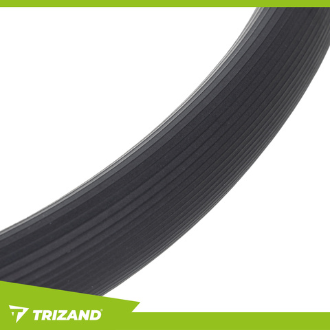 Triznad 26848 Exercise Ring