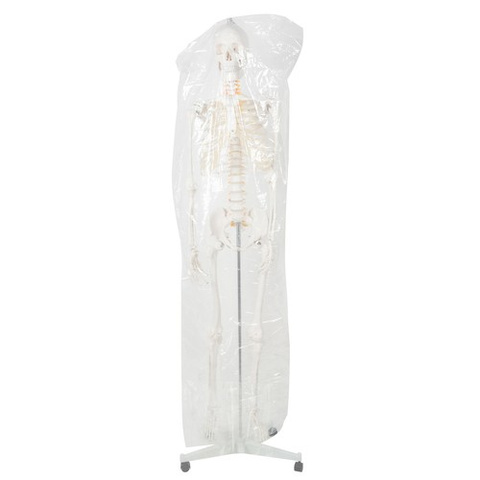 Human Skeleton - 170cm Malatec 22583