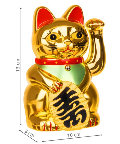 Chinese cat - golden