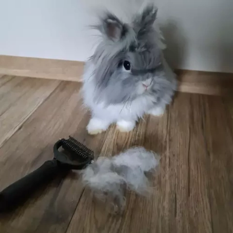 Purlov 20427 Trimmer/Haarkamm