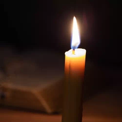 White taper candle - set of 40 