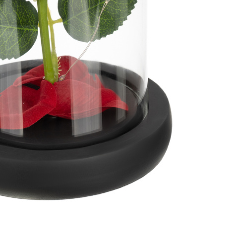 Rose in glass - shining Ruhhy 25682