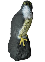 Vogelabwehrmittel - Falke