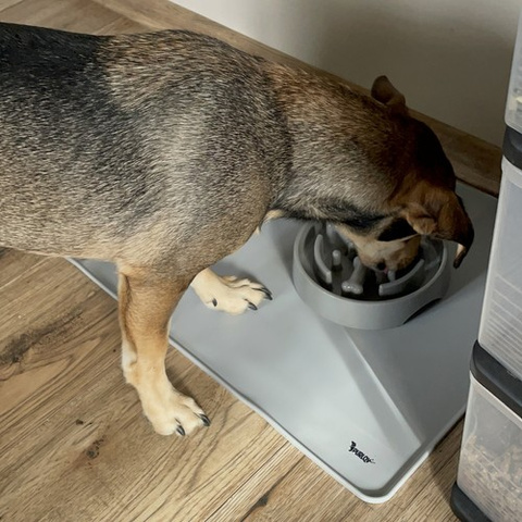 Purlov 24295 Silikon-Napfunterlage