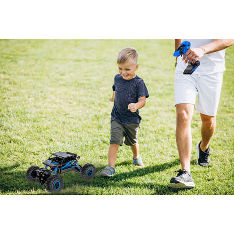 Remote controlled off-road vehicle - Truck 22439