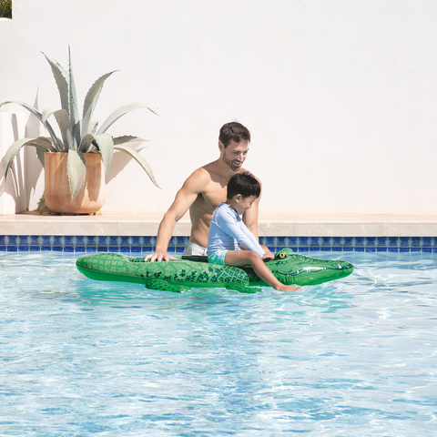 INTEX 58546 air mattress