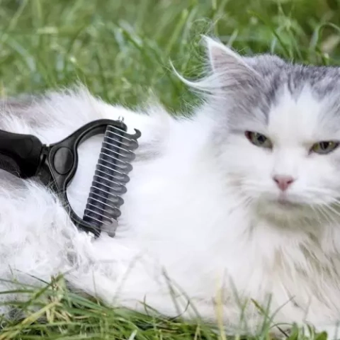 Purlov 20427 trimmer/comb