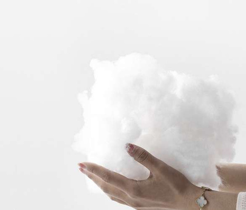 2in1 camping sleeping bag Trizand 21084