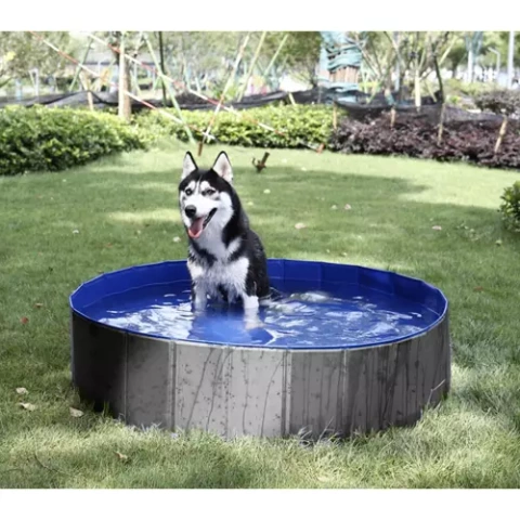 Piscine pliante/parc pour chien 100x30 Purlov 20929