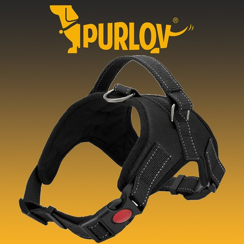 Pressure-free harness for dogs M