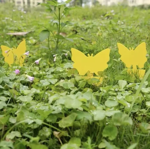 Insektenstäbchen - 12 Stk. Repest 19053