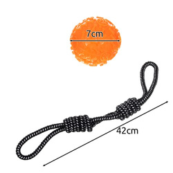 Dog toy set - 10 pcs Purlov 24388