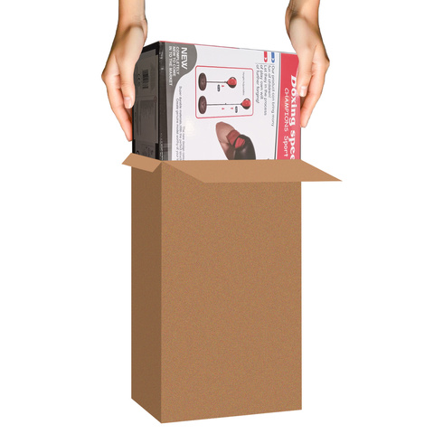 Boxing set - punch + gloves 26094