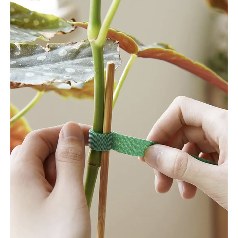 Klett-Gartenband 5m Gardlov 25362