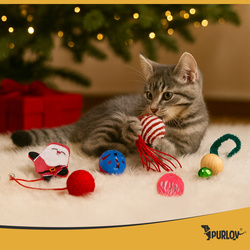 Ensemble de jouets pour chat Purlov 26380