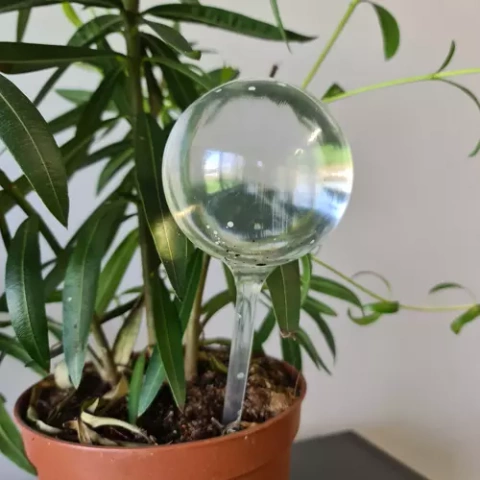 Bewässerungskugeln - 8 Stk. Gardlov 21043