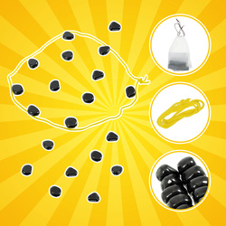 Magnetic game stones 40 pcs Kruzzel 26602