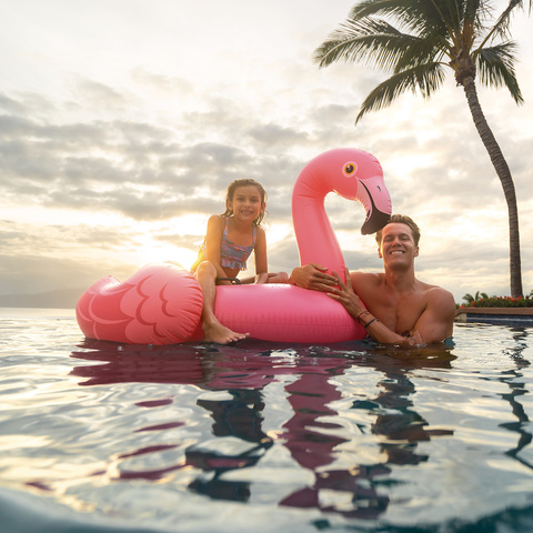 INTEX 57558 Flamingo Air Mattress