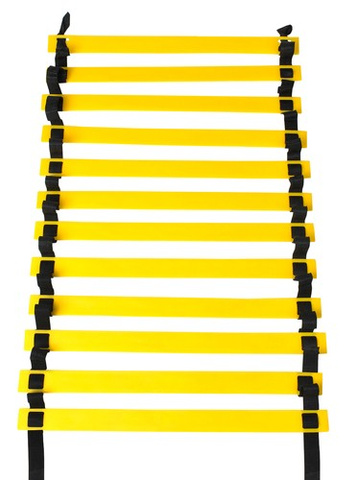 Training ladder