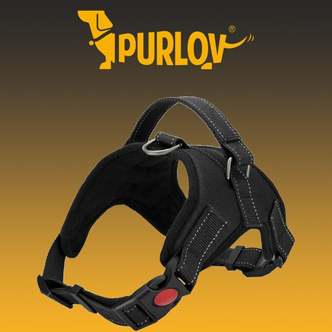 Pressure-free dog harness L