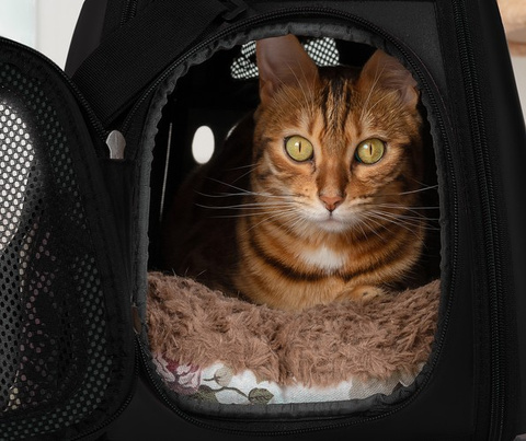 Sac de transport pour chien/chat - noir