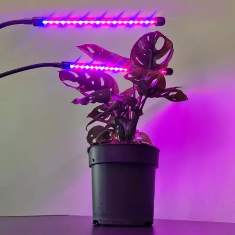 Lampe 20 LED 2Stk. für Pflanzenwachstum Gardlov 19241