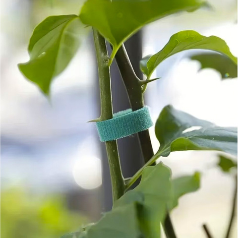 Velcro garden tape 5m Gardlov 25362