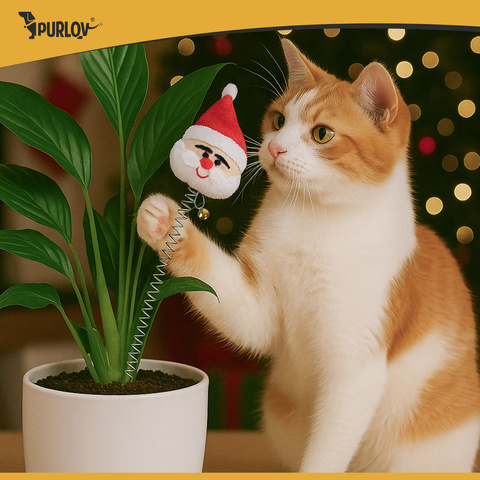 Ensemble de jouets pour chat Purlov 26380