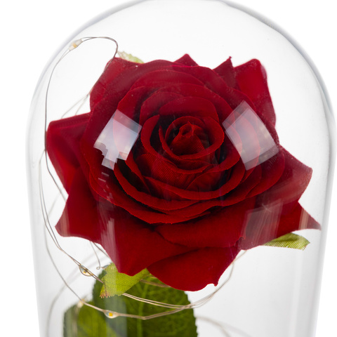 Rose in glass - shining Ruhhy 25682