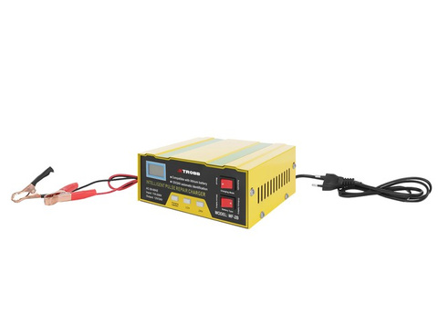 Battery charger 12V/24V